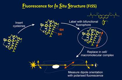 SunGrp_Fig2_Methods(420x274)