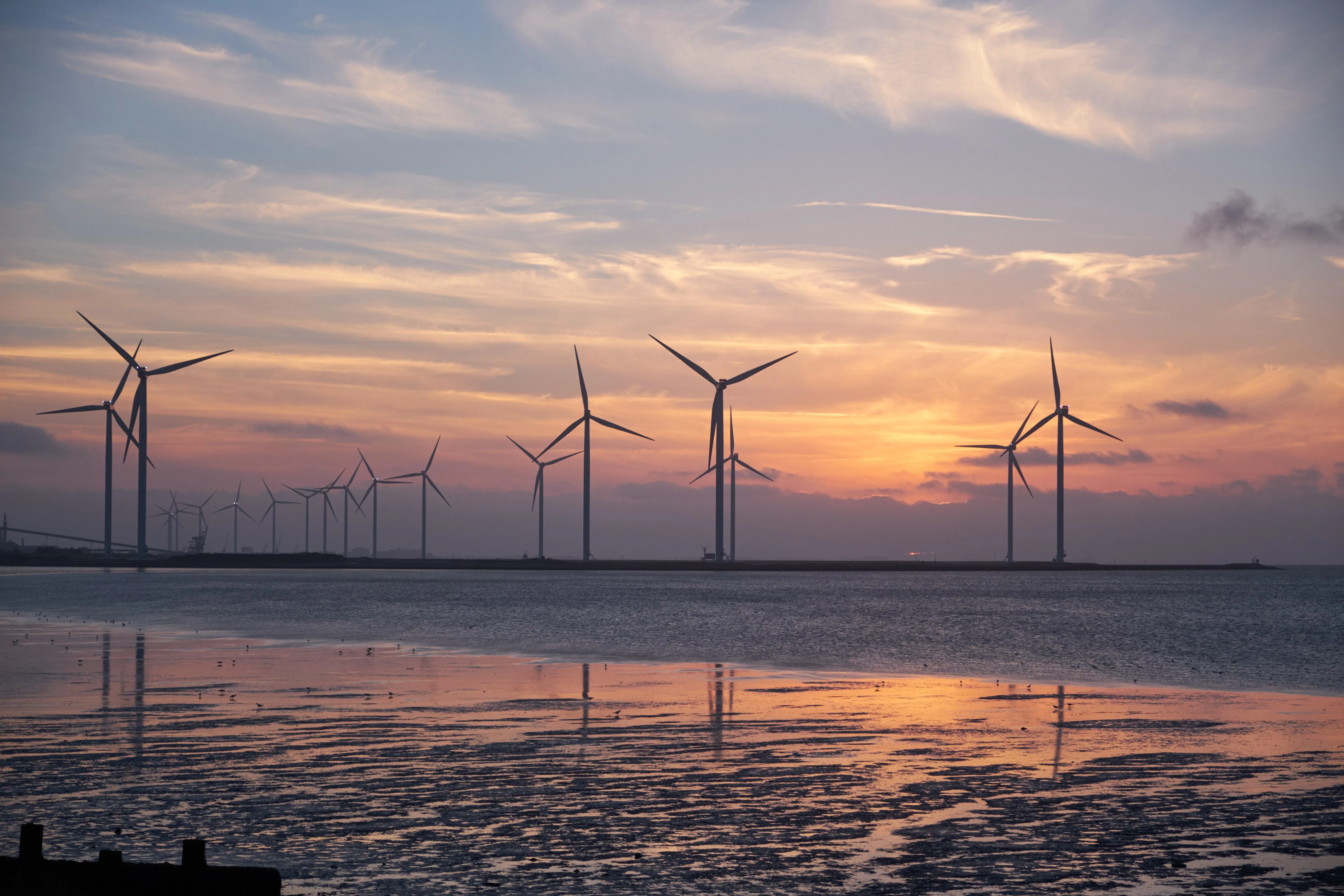 wind farm red sky