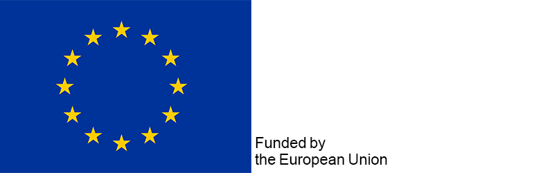 euflag