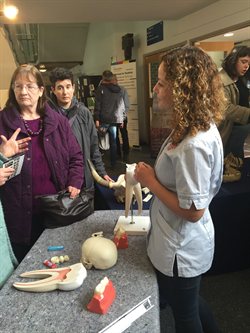 Brighton public engagement 3