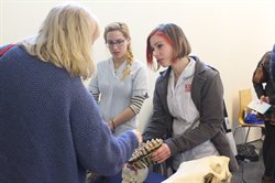 Brighton public engagement