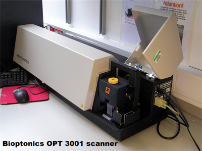 optical projection tomography optical projection tomography