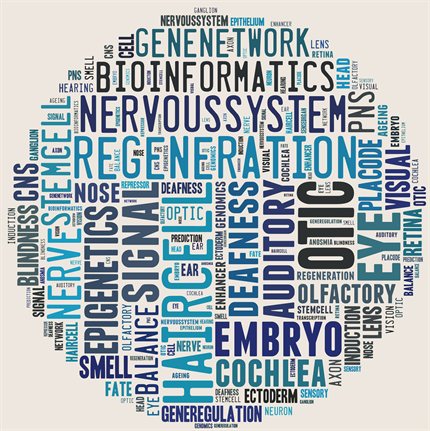 wordle streit