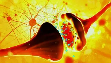 landing page neuron
