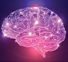 Brain_fastfail1