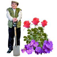 Gardening