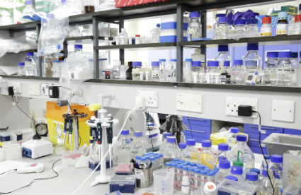 Wolfson-CARD-Lab