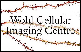 Wohl Cellular Imaging Centre