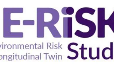 E-Risk study logo