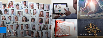 di-mentoring-web