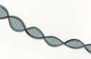 DNA image