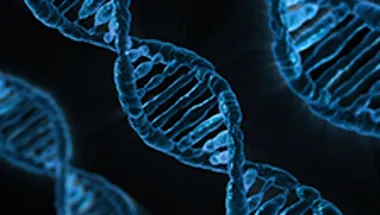 DNA