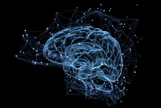 Translucent diagram of the human brain, with an overlay of a network of dots and lines