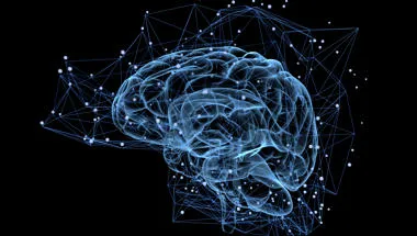 Translucent diagram of the human brain, with an overlay of a network of dots and lines