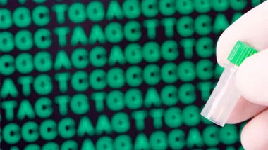 Genetics