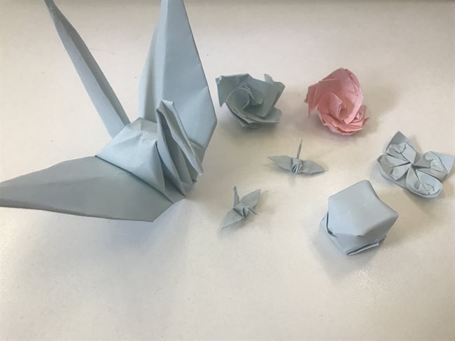 Wellbeing paper