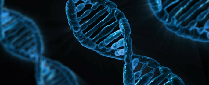 DNA strands