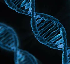 DNA strand