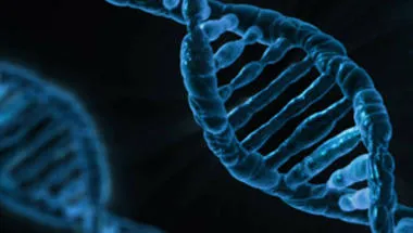 DNA strand