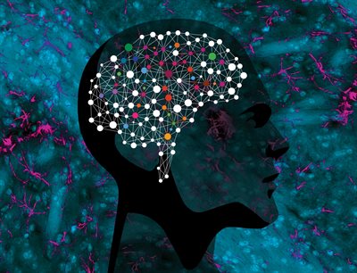 brain