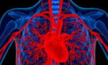 xray of a heart
