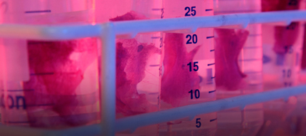 tissue in tubes_430x191