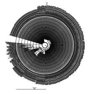 Phylogrammes 4PHYLOGRAMMES4