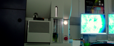 2CellSorters