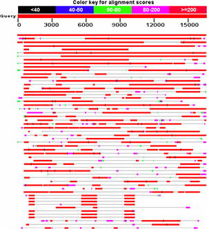 MtDNA Fig4