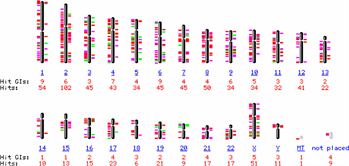 MtDNA Fig5