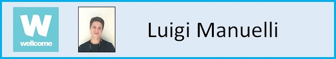 Fay_Luigi