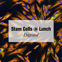 Stem-Cells-@-Lunch---SC@L-Digested-logo-200px