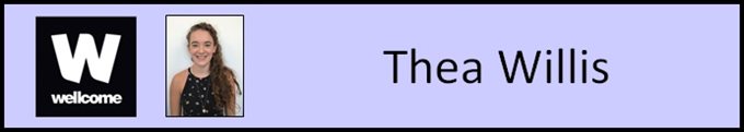 Fay_Thea name