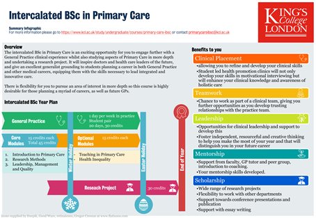 iBSc infogram students