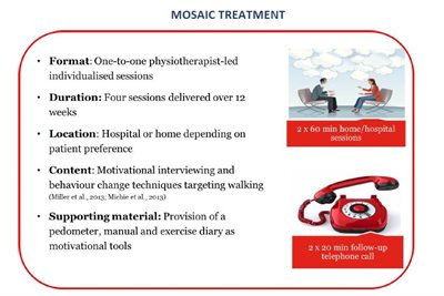 Process map of mosaic trial treament