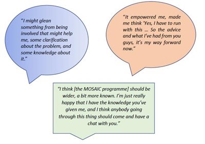 quotes from participants who enrolled in an earlier study