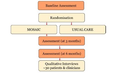 diagram illustrates the pathway that participants will take after being enrolled in the study