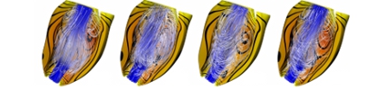 425x100pxbiophysicalmodelling