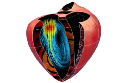 425x280pximageprocessing