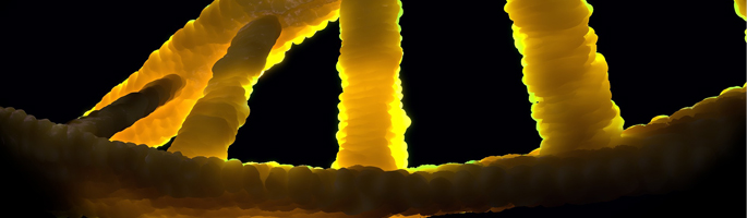 DNA_685x200px_Banner