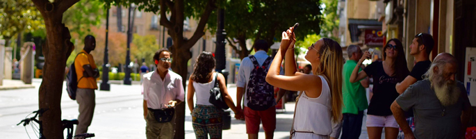 Policy02_685x200px_Banner