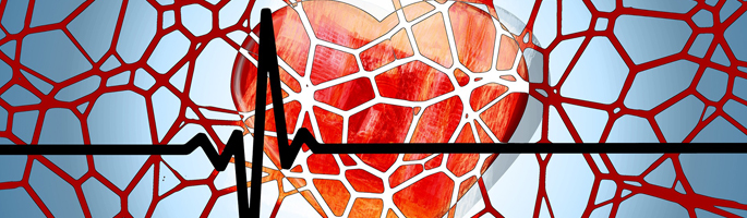 hypertension_685x200px_Banner