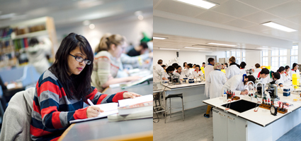 study and lab_420x200