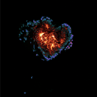 neves-research (2)