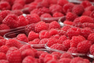 raspberries 2