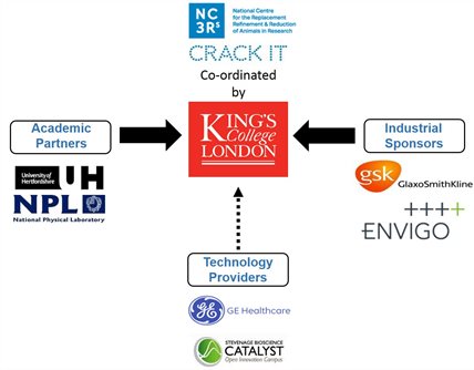 The Consortium