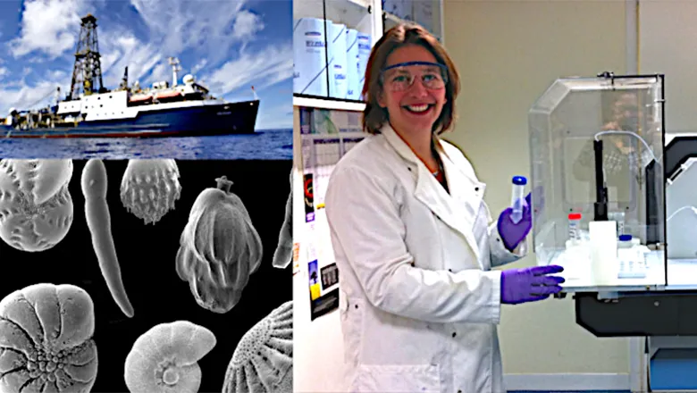 Professor Carrie Lear working in her lab.