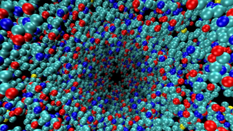 simulation of a protein structure