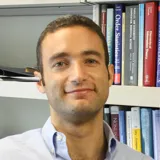 Professor Osvaldo Simeone