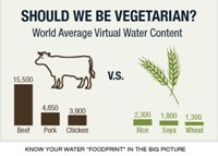 Virtual-Water-3 carnivore v vegetarian